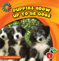 Puppies_Grow_up_to_Be_Dogs