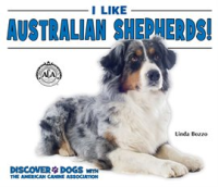 I_Like_Australian_Shepherds_