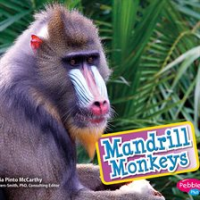 Mandrill_Monkeys