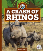 A_Crash_of_Rhinos