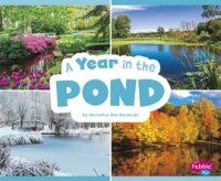 A_Year_in_the_Pond
