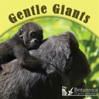 Gentle_Giants