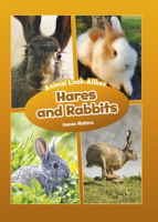 Hares_and_Rabbits