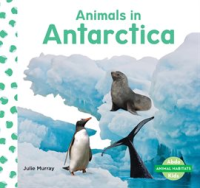 Animals_in_Antarctica