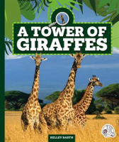 A_Tower_of_Giraffes