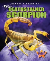 The_Deathstalker_Scorpion
