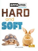 Hard_and_Soft