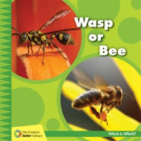Wasp_or_Bee