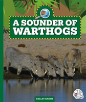 A_Sounder_of_Warthogs