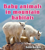 Baby_animals_in_mountain_habitats