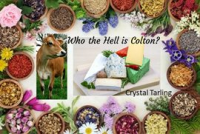 Who_the_Hell_Is_Colton_