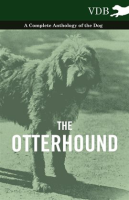 The_Otterhound