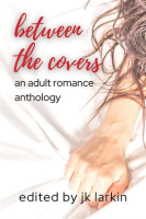 Between_the_Covers_-_An_Adult_Romance