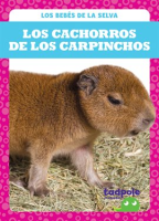 Los_cachorros_de_los_carpinchos__Capybara_Pups_