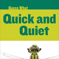 Quick_and_Quiet