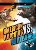 American_Alligator_vs__Wild_Boar