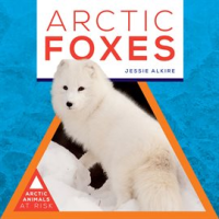 Arctic_Foxes