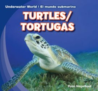 Turtles___Tortugas