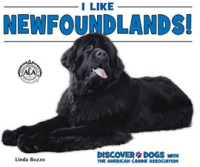 I_Like_Newfoundlands_