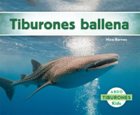 Tiburones_ballena__Whale_Sharks_