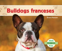 Bulldogs_franceses__French_Bulldogs_