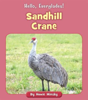 Sandhill_Crane