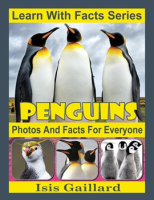 Penguins_Photos_and_Facts_for_Everyone