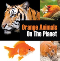 Orange_Animals_On_The_Planet