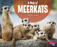 A_Mob_of_Meerkats