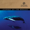 Journey_Of_The_Whales