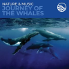 Nature___Music__Journey_Of_The_Whales