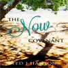 The_Now_Covenant