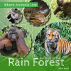 Animals_in_the_Rain_Forest