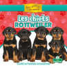 Les_chiots_rottweiler