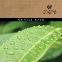 Gentle_Rain