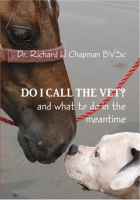 Do_I_Call_the_Vet__and_What_to_do_in_the_Meantime