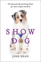 Show_Dog