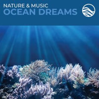 Nature___Music__Ocean_Dreams