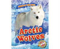 Arctic_Wolves