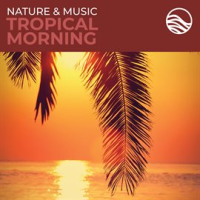 Nature___Music__Tropical_Morning