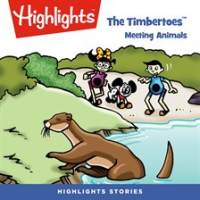 The_Timbertoes__Meeting_Animals