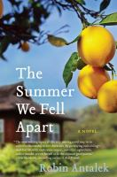 The_summer_we_fell_apart