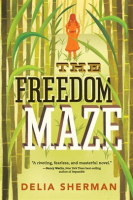 The_Freedom_Maze