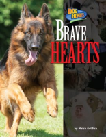Brave_hearts