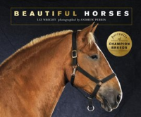 Beautiful_Horses
