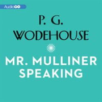 Mr__Mulliner_Speaking