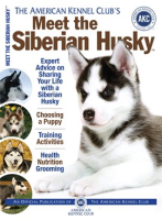 Meet_the_Siberian_Husky