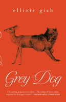 Grey_dog
