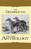 The_Deerhound