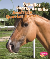 Caballos_cuarto_de_milla_American_Quarter_Horses